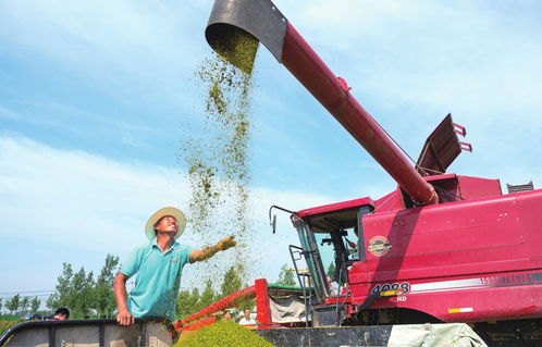 構筑生態宜居家園，推動谷物銷售新篇章