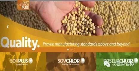 美國農產品滯銷下谷物合作社應對策略與銷售創新